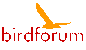 birdforum.net